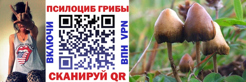 Галлюциногенные грибы мухоморы  Топки 
